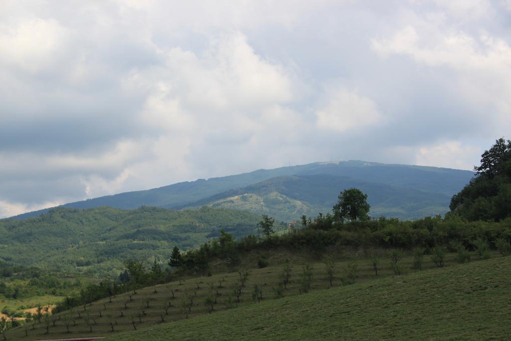 Вилла Agriturismo Ca Bella Сан-Себастьяно-Куроне Экстерьер фото